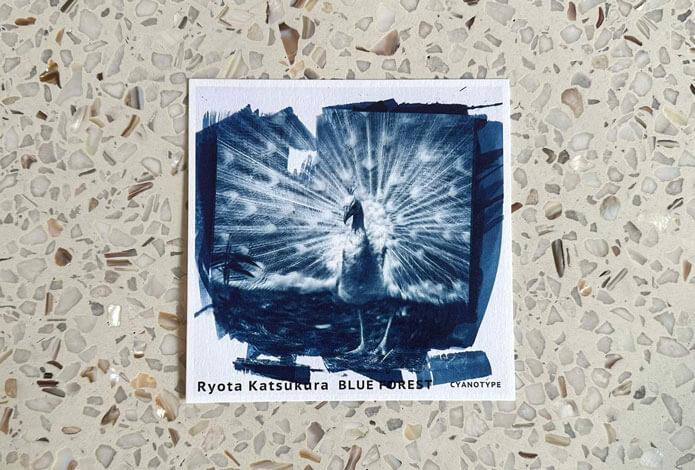 thumb_202404_katsukura