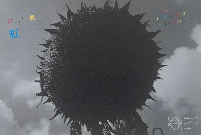 thumb_202411_kawaguchi