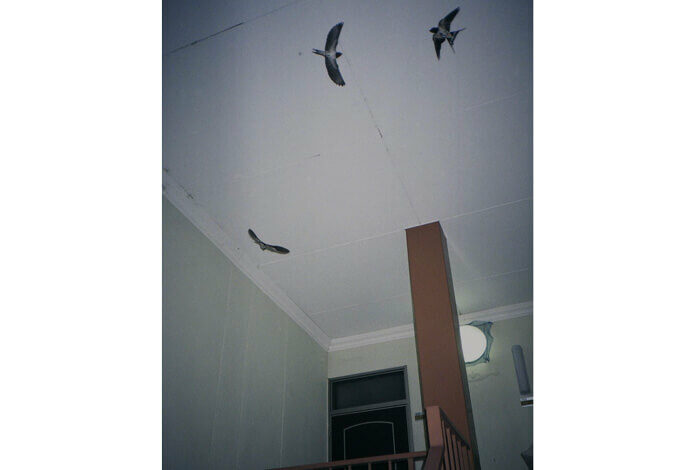 thumb_202512_tsumuraya