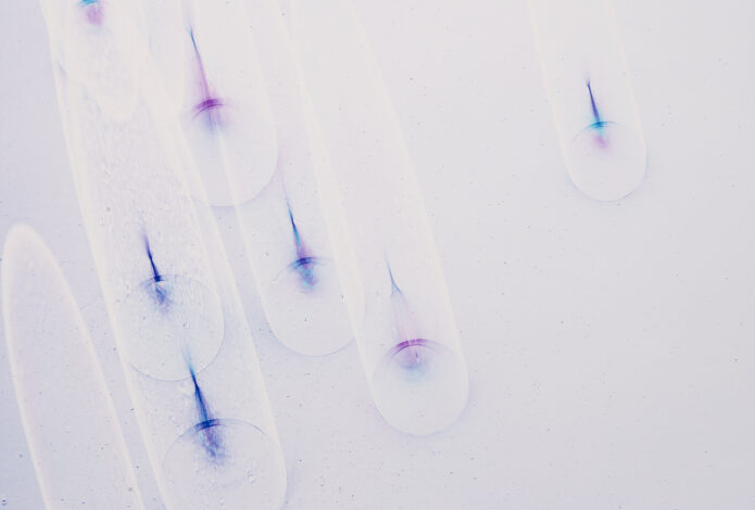 yoichiro nishimura 2026